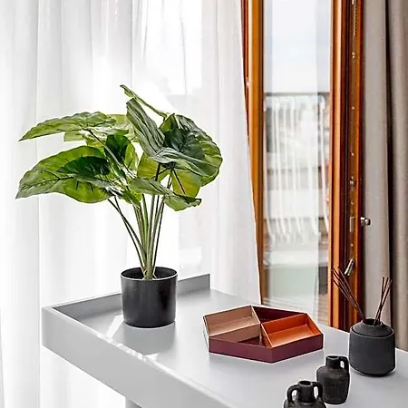 Aparthotel Catalog Boutique 3*