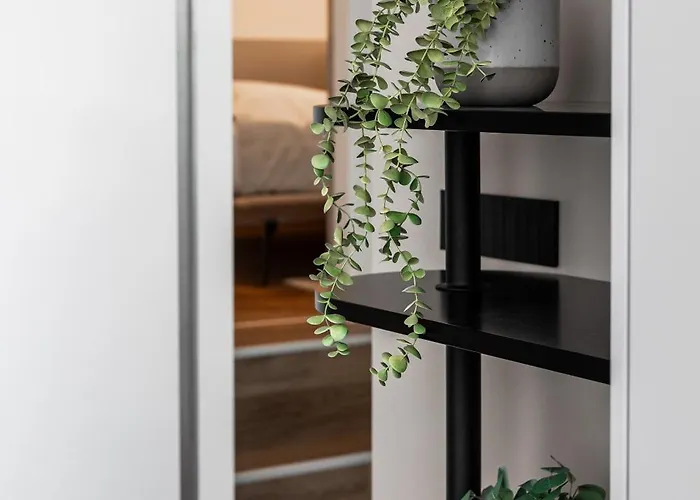 Catalog Boutique Pozsony